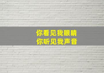 你看见我眼睛 你听见我声音